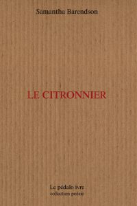 ISBN : 979-10-92921-03-8 Format : 11 x 18 cm Nb pages : 80 Prix : 10 euros éditeur : Le pédalo ivre
