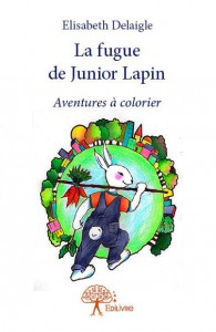 LA FUGUE DE JUNIOR LAPIN-COUVERTURE LIVRE fb