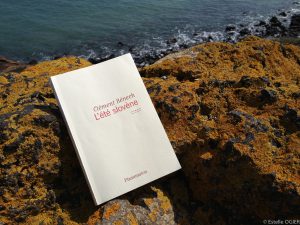 L'été slovène de Clément Bénech couverture